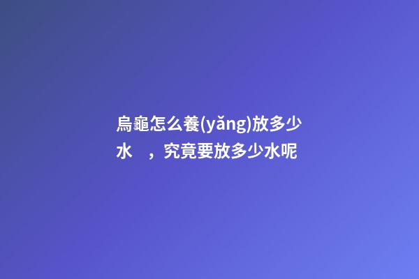 烏龜怎么養(yǎng)放多少水，究竟要放多少水呢-第1張-觀點-玄機派